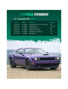 Alerón Trasero SCITOO para Dodge Challenger 2008-2019 Negro Mate 2