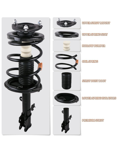 Amortiguadores Completos MOSTPLUS para BMW E46 320i 325i 2001-2005