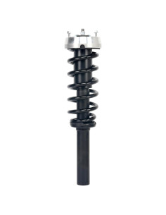 Amortiguador y Resorte Monroe Quick-Strut 172916 para BMW X5