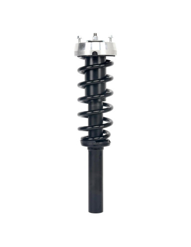 Amortiguador y Resorte Monroe Quick-Strut 172916 para BMW X5