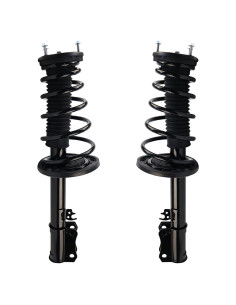 Amortiguador y Resorte Coil Autoround 172310/172309 para Toyota/Lexus