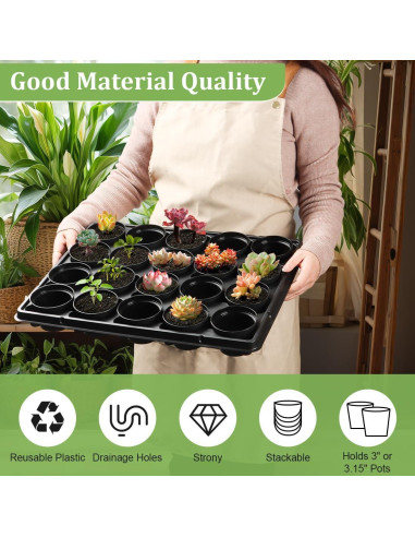 Macetas de Plástico 3 Pulgadas 100 Pcs + 5 Bandejas Drenaje