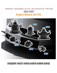 Juego de Soportes de Motor TOPMOUNT para Honda Accord 2.4L 2003-2007 2