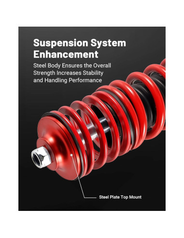 Coilovers Ajustables EVIL ENERGY para VW Jetta Golf Beetle 5-10cm