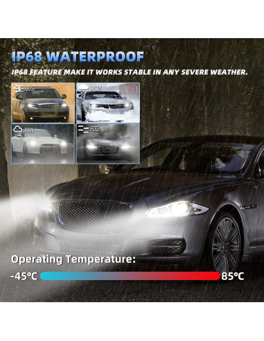 Bombillas LED AYGZRUB H1 H11 para Ford Focus 2012-2018 600% Brillo