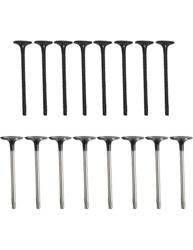 Juego de Junta de Culata y Correa de Tiempo GPQ para Ford 1.6L