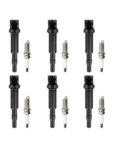 Juego de 6 Bobinas de Encendido TEMSONE para BMW 3.0L