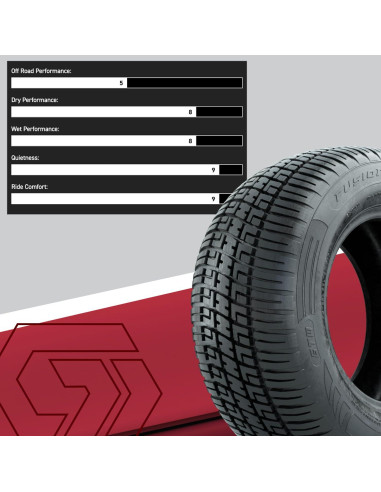 Neumático Radial GTW Fusión S/R 205/65-R10 para Carro de Golf