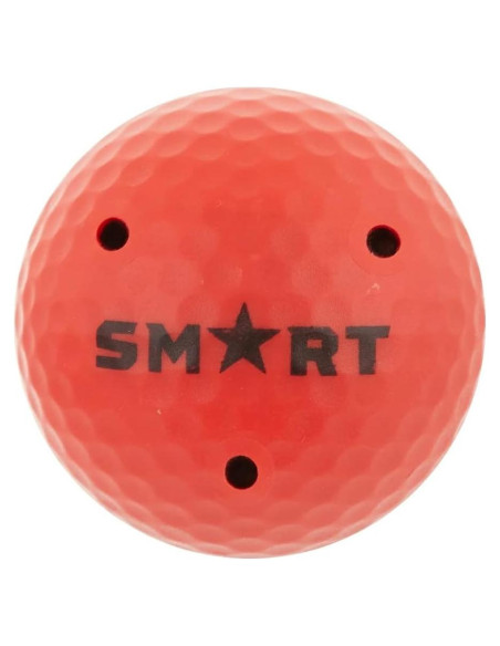 Bola de Entrenamiento Pesada Smart Hockey 227 g 5 cm Rojo