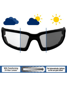 Gafas de sol fotocromáticas Alpha Omega AO5 con almohadillas 2