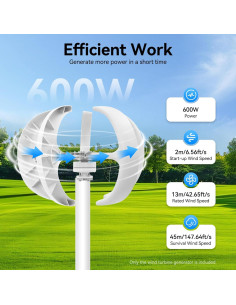 Generador Eólico 600W 24V Inszxight 5 Aspas Bajo Ruido 2