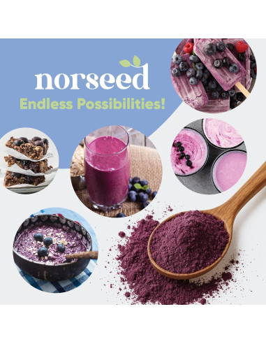 Polvo de Arándano Orgánico Liofilizado Norseed 142g Sin Azúcar