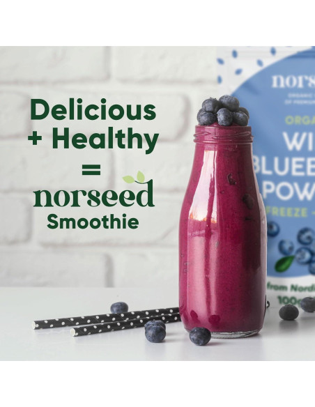 Polvo de Arándano Orgánico Liofilizado Norseed 142g Sin Azúcar