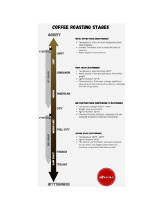 Café Verde Premium Roastika Etiopía Yirgacheffe 907g 2