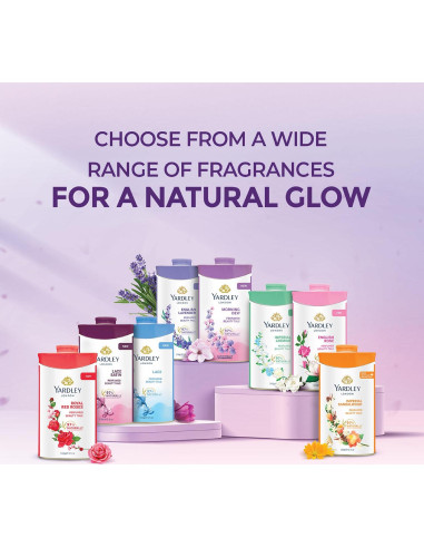 Talco Desodorante Perfumado Lavanda Inglesa Yardley 100 g