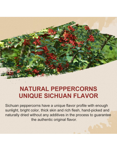 Pimienta de Sichuan 52USA 113.4 g - Sabor Fuerte y Aromático