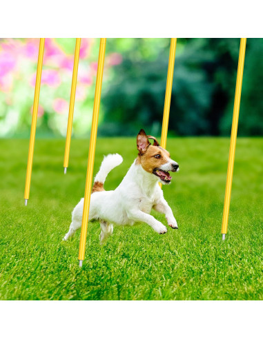 Bastones de Agilidad Blulu 1.5m Ajustables para Fútbol - 10 Piezas