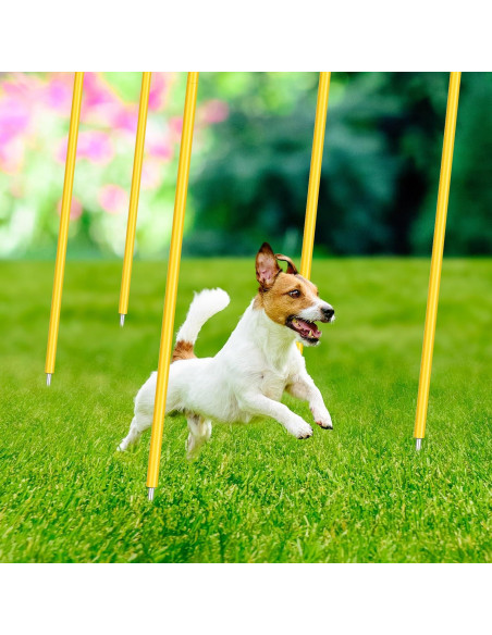 Bastones de Agilidad Blulu 1.5m Ajustables para Fútbol - 10 Piezas
