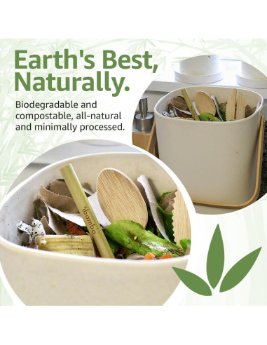 Pajitas de Bambú Jenvita 20 cm - Biodegradables y Reutilizables