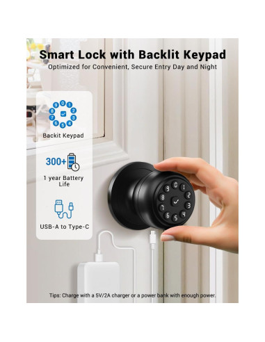 Cerradura Inteligente WREO K10mini con Teclado y Manija - Negra