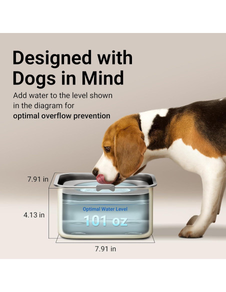 Cuenco de Agua Sin Derrames DownyPaws 3L Acero Inoxidable Beige