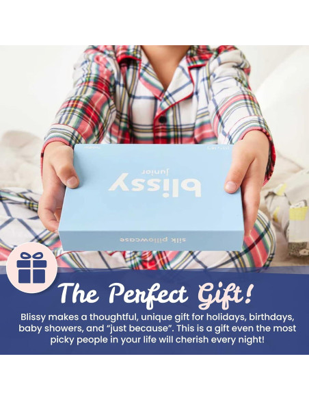 Funda de Almohada de Seda Blissy 100% Pura 50.8x66 cm Azul Bebé