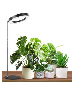 Luz de Cultivo de Escritorio GTRUIIDY Ajustable 3 Modos 10 Brillos