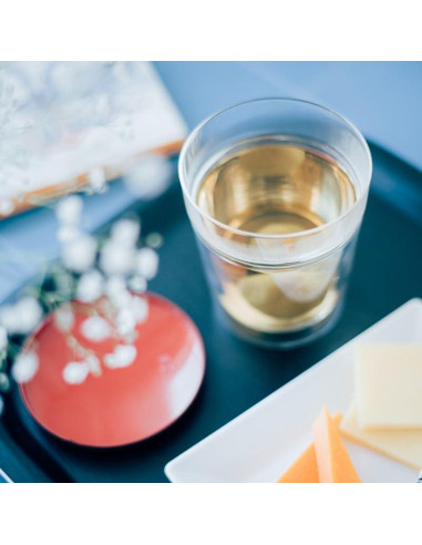 Vaso Doble Pared Hario Twin Rock 260ml Vidrio Transparente