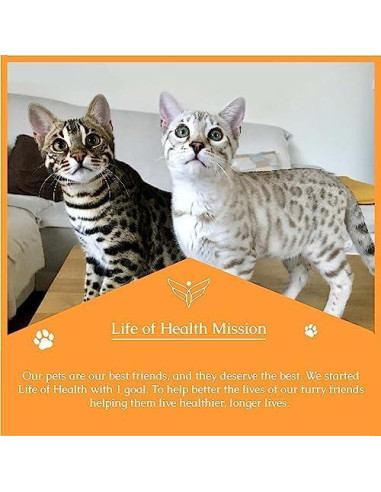 Antibiótico Natural para Gatos - Soporte Inmunológico - 90.7g