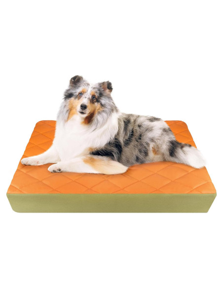 Cama Ortopédica Grande para Perros Paw Libero 90x60cm Impermeable