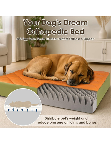 Cama Ortopédica Grande para Perros Paw Libero 90x60cm Impermeable