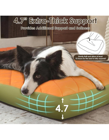 Cama Ortopédica Grande para Perros Paw Libero 90x60cm Impermeable