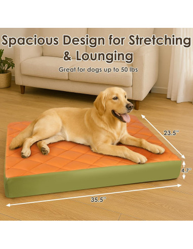 Cama Ortopédica Grande para Perros Paw Libero 90x60cm Impermeable