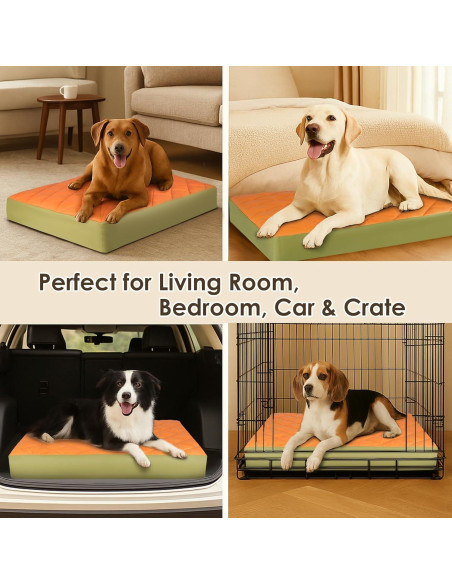 Cama Ortopédica Grande para Perros Paw Libero 90x60cm Impermeable
