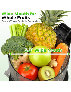 Exprimidor Lento Godspeeds MP-802Q 3.63 kg Boca Ancha 14.73 cm 2