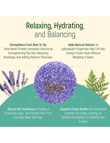 Barra de Champú Natural Lavanda BAMBOEARTH - 12 Unidades