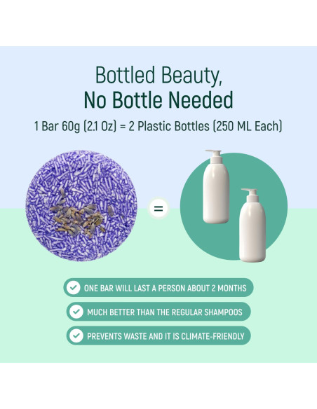 Barra de Champú Natural Lavanda BAMBOEARTH - 12 Unidades