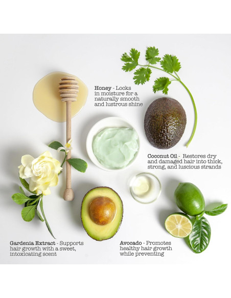 Mascarilla y Barra de Cera Guacamole Sauce Beauty - Hidratación Profunda