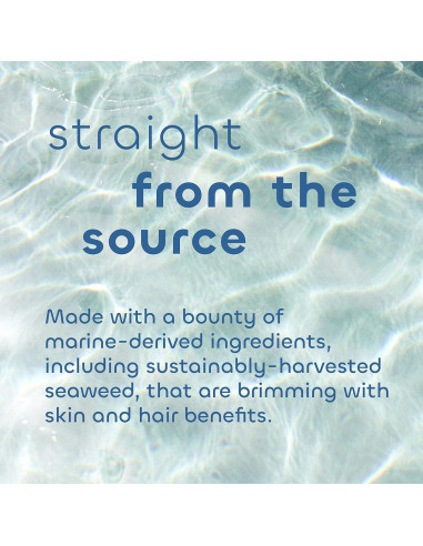 Juego de Champú y Acondicionador Seaweed Bath Co. 340g - Suave Vainilla Cítrica