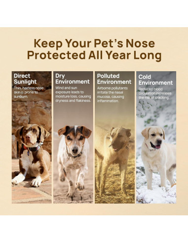 Bálsamo Hidratante para Narices de Perros y Gatos HICC PET 30g