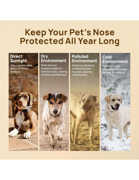 Bálsamo Hidratante para Narices de Perros y Gatos HICC PET 30g