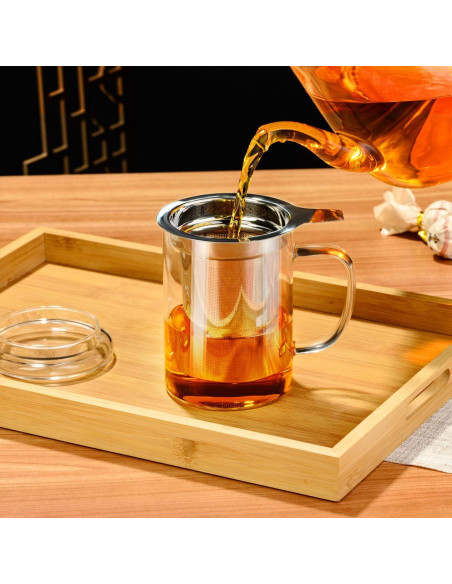 Taza de Té PARACITY de Borosilicato 450ml con Infusor Acero