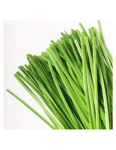 Ataduras de Jardín VIMOA 200 pcs 15 cm Verde para Plantas