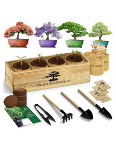 Kit de Bonsai Interior LUOJIBIE con 4 Variedades de Semillas