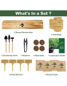 Kit de Bonsai Interior LUOJIBIE con 4 Variedades de Semillas 2