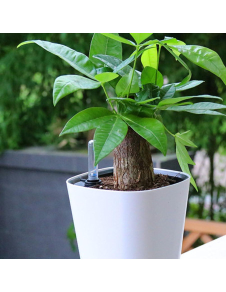 Medidor de Nivel de Agua Milisten - Paquete de 4 para Jardín