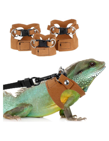 Juego de Arnés y Correa Ajustable Quilax para Dragón Barbudo
