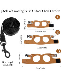 Juego de Arnés y Correa Ajustable Quilax para Dragón Barbudo 2