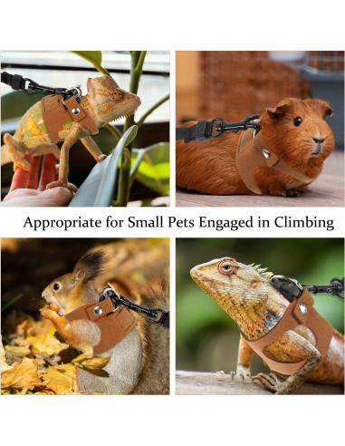 Juego de Arnés y Correa Ajustable Quilax para Dragón Barbudo