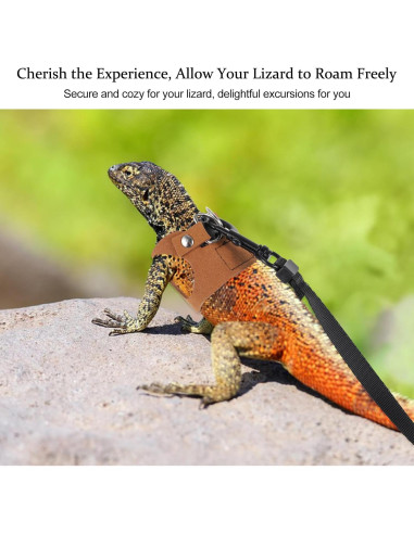 Juego de Arnés y Correa Ajustable Quilax para Dragón Barbudo